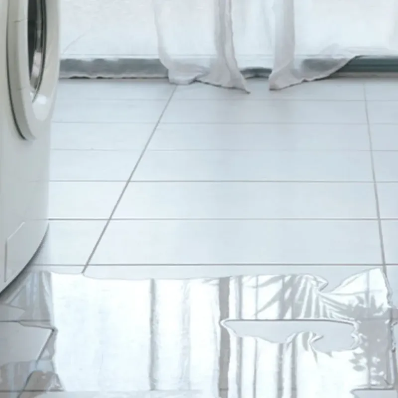 Appliance Leak Cleanup in Milan, IL