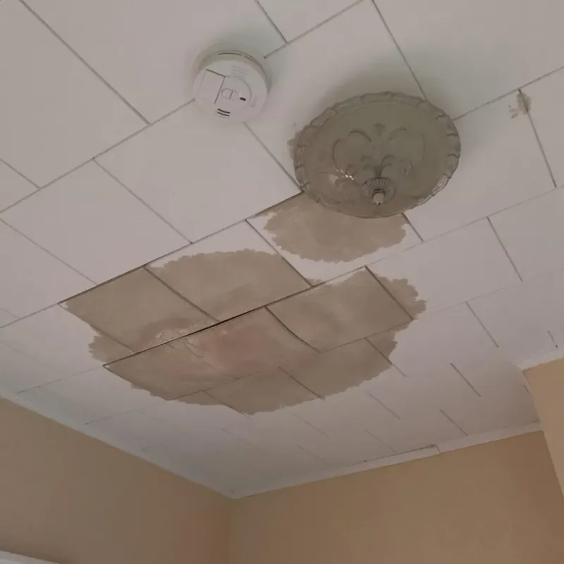 Ceiling Water Damage Repair in Milan, IL