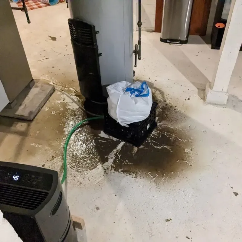 Sewage Backup Cleanup Service in Milan, IL